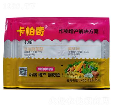 �������a(ch��n)��Q����-������-�Ȳ�����