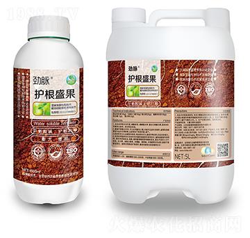 �o��ʢ��-���}