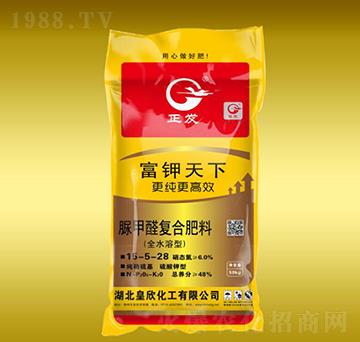 ���ȩ�ͺϷ�15-5-28-�������-����