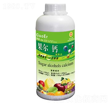 1000g�������w�}-