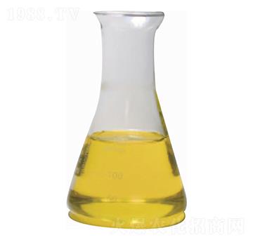 �ߝ�����w�Ǵ��}-���