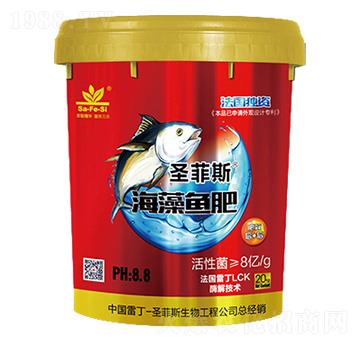 �����~��-ʥ��˹