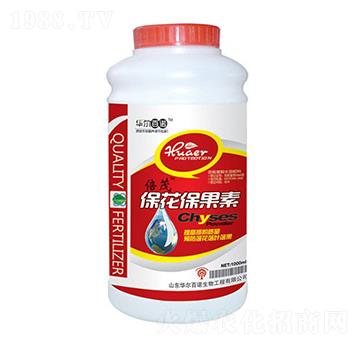 ����������-�A�����Z