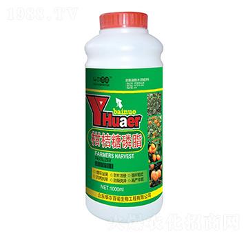 �̽�����֬-�A�����Z