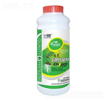 生根壯苗劑-華爾百諾