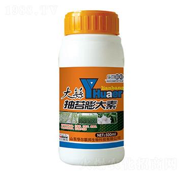 �����̦�����-�A�����Z