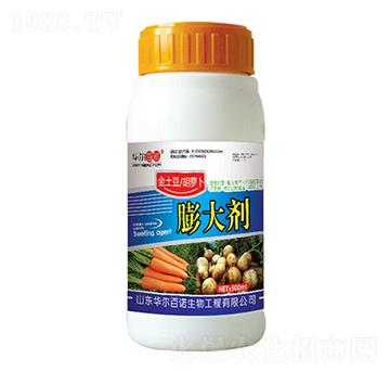 ���������}���������-�A�����Z