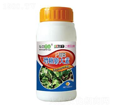 ��ˌ��É�?zh��)�����?�A�����Z