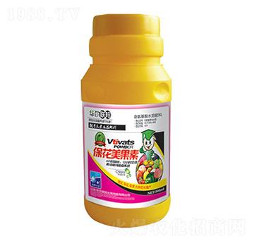 ����������-�A�����Z