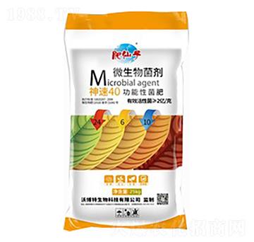 ����40�����Ծ���24-6-10-�ֲ���