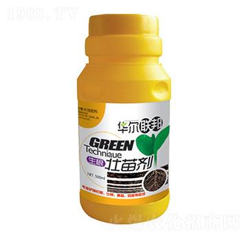 �������焩-�A�����Z