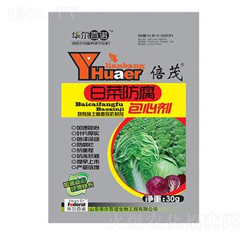 �ײ˷������Ą�-�A�����Z