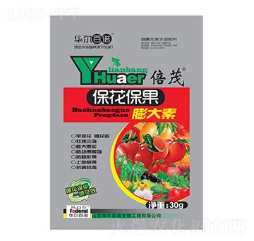 �������������-�A�����Z