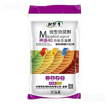 ����40�����Ծ���24-6-10-�ʼ��S-�ֲ���