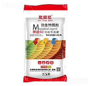 ����40�����Ծ���24-6-10-�����-�ֲ���