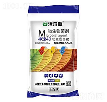 ����40�����Ծ���20-8-12-�֠��-�ֲ���