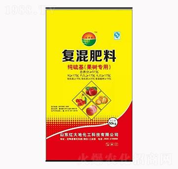 ��������ߌ��Ï�(f��)�����-�t���