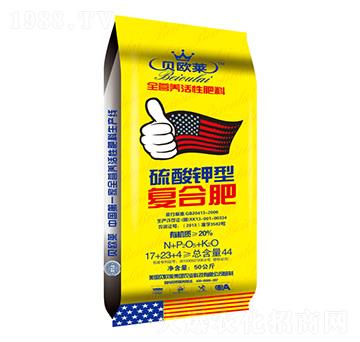 ����������͏�(f��)�Ϸ���17-23-4-ؐ�W�R