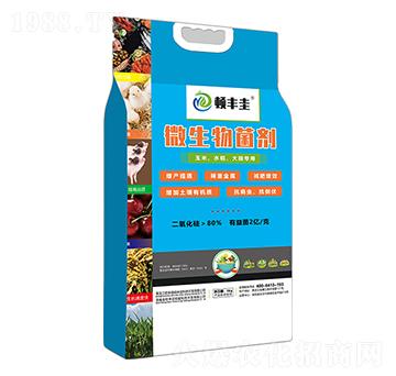 玉米、水稻、大田專用微生物菌劑-頓豐圭