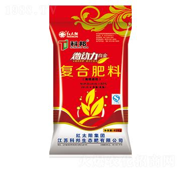 ΢����������(f��)�Ϸ���28