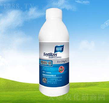 �Ǵ���ˮ����-ֲ��-