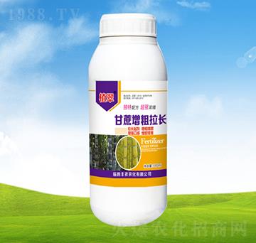 �����������L(zh��ng)-ֲ��-�S