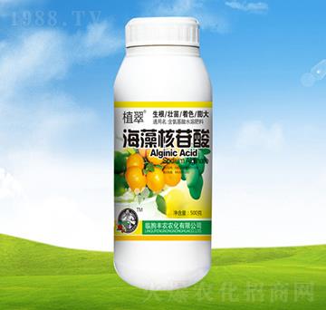 ���������-ֲ��-�S�r(n��ng)