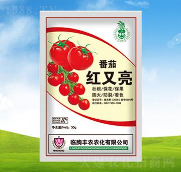 ���Ѽt����-�S�r(n��ng)�r(n��ng)��