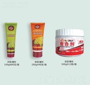 ֲ�����τ�-����-������