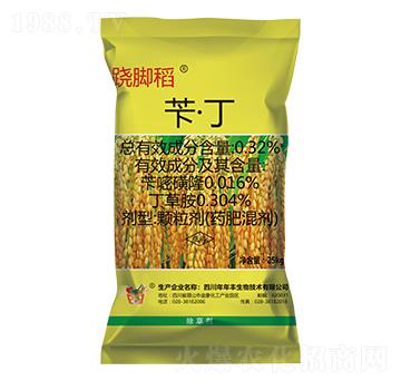 �S����������ˎ��-�E�_��-�����S����