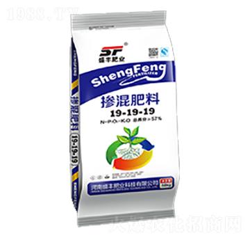 �������19-19-19-ʢ�S�ʘI(y��)