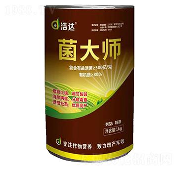 ����-���_(d��)����