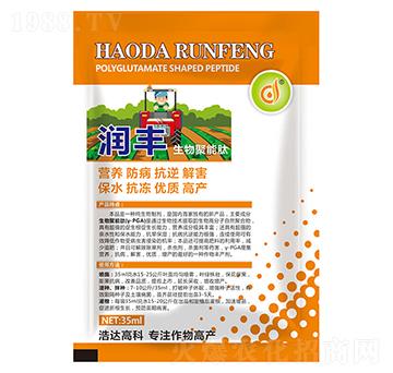 ���������-��(r��n)�S-���_(d��)