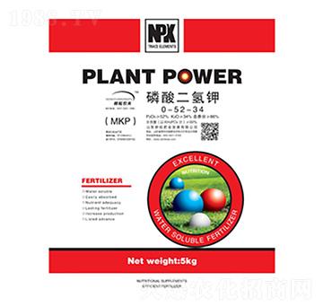 ��������0-52-34-�����r��