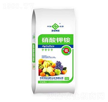 ������@-�{���r(n��ng)�I(y��)