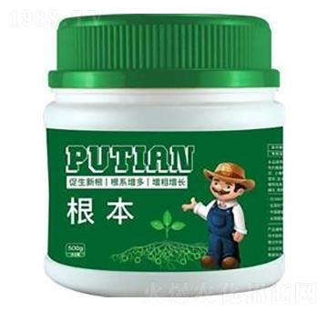 ����-����Ƽ�