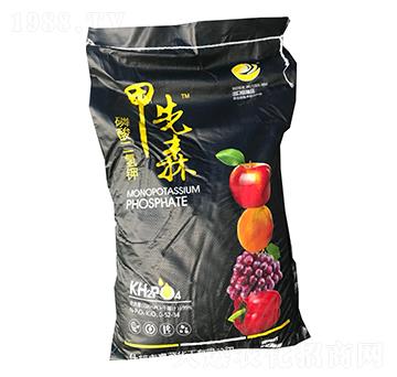 ��������0-52-34-����ɭ-���{����