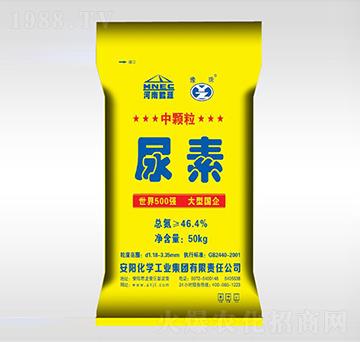 ���w������-ԥ��ʘI(y��)