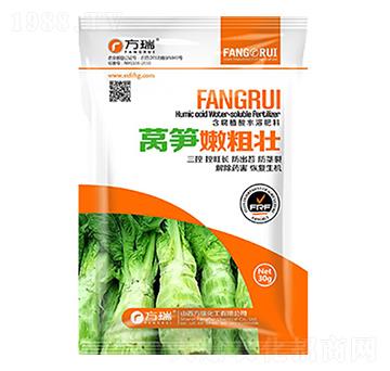 �n�S�։Ѵ�-����