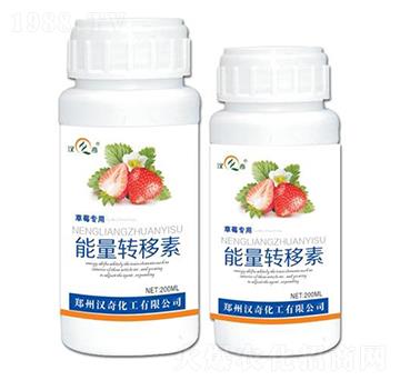 ��ݮ���������D(zhu��n)����-�h�滯��