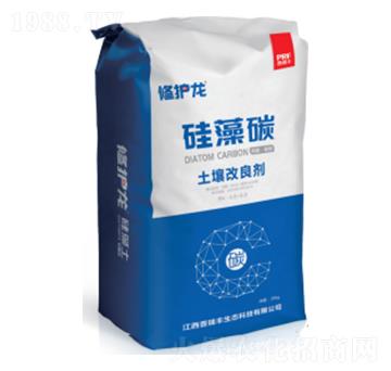 ����̼����������-���o��-�����S