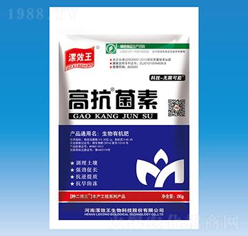 �߿�����-��Ч��