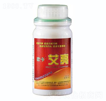 ����-�W������