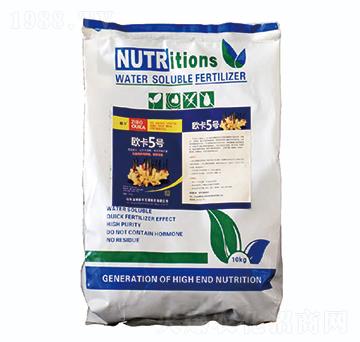 �W��5̖(h��o)-�W������