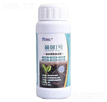 �{���y�z�w��Һ-���w1̖-�鲩ʿ-�s��ʘI(y��)