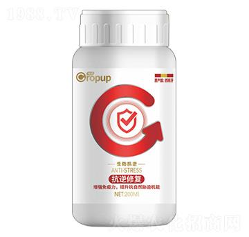 ����������~���-���Z-�¶�����