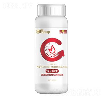 �̼����L(zh��ng)�(l��i)�~���-���Z-�¶�����