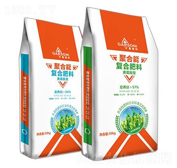 �S�����͏�(f��)�Ϸ���-��ʩ�����ۺ���-�¶�����