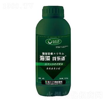 ���往���m-������