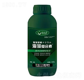 �����(f��)����-������